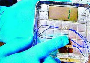 Energía eléctrica gracias a los virus y a nuestro cuerpo